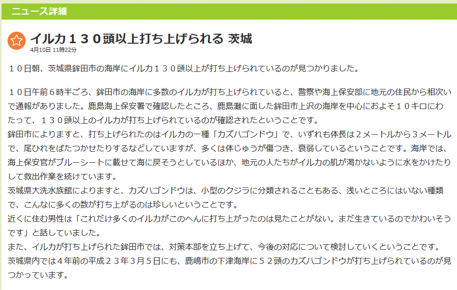 イルカ130頭が茨城県の浜に打ち上がったらしい。