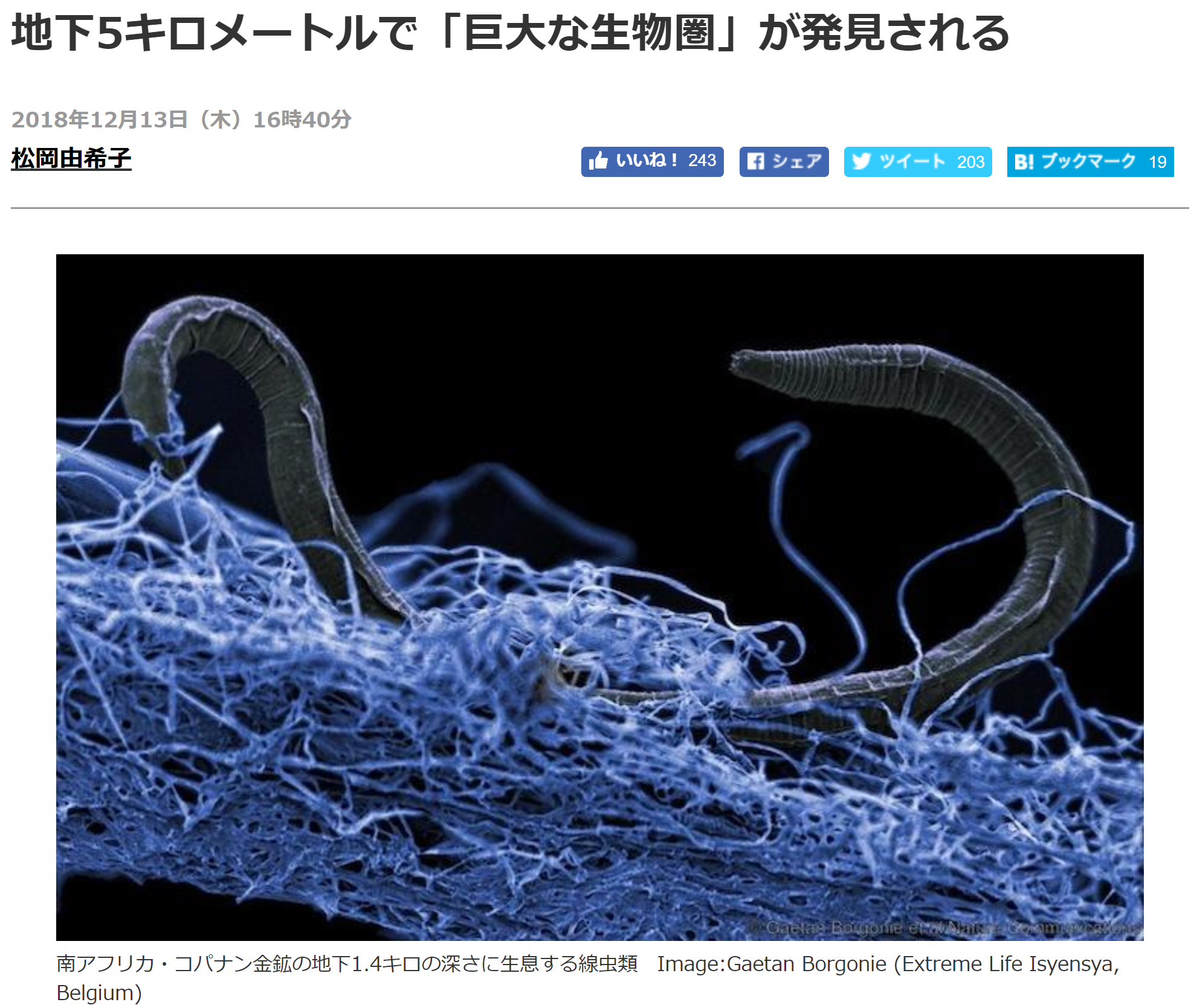 深海生物圏があるのなら 地底生物圏ってのもあるらしい 地質屋さんと呼ばないで