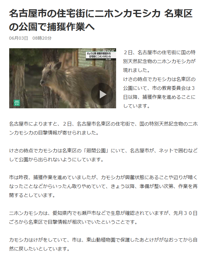 名古屋市名東区に”また”カモシカが出現したらしい