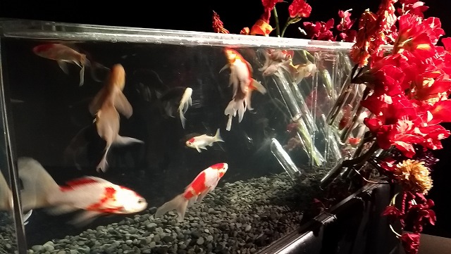 松坂屋美術館にやってきました。酷暑の中、アートアクアリウム名古屋にやってきた。