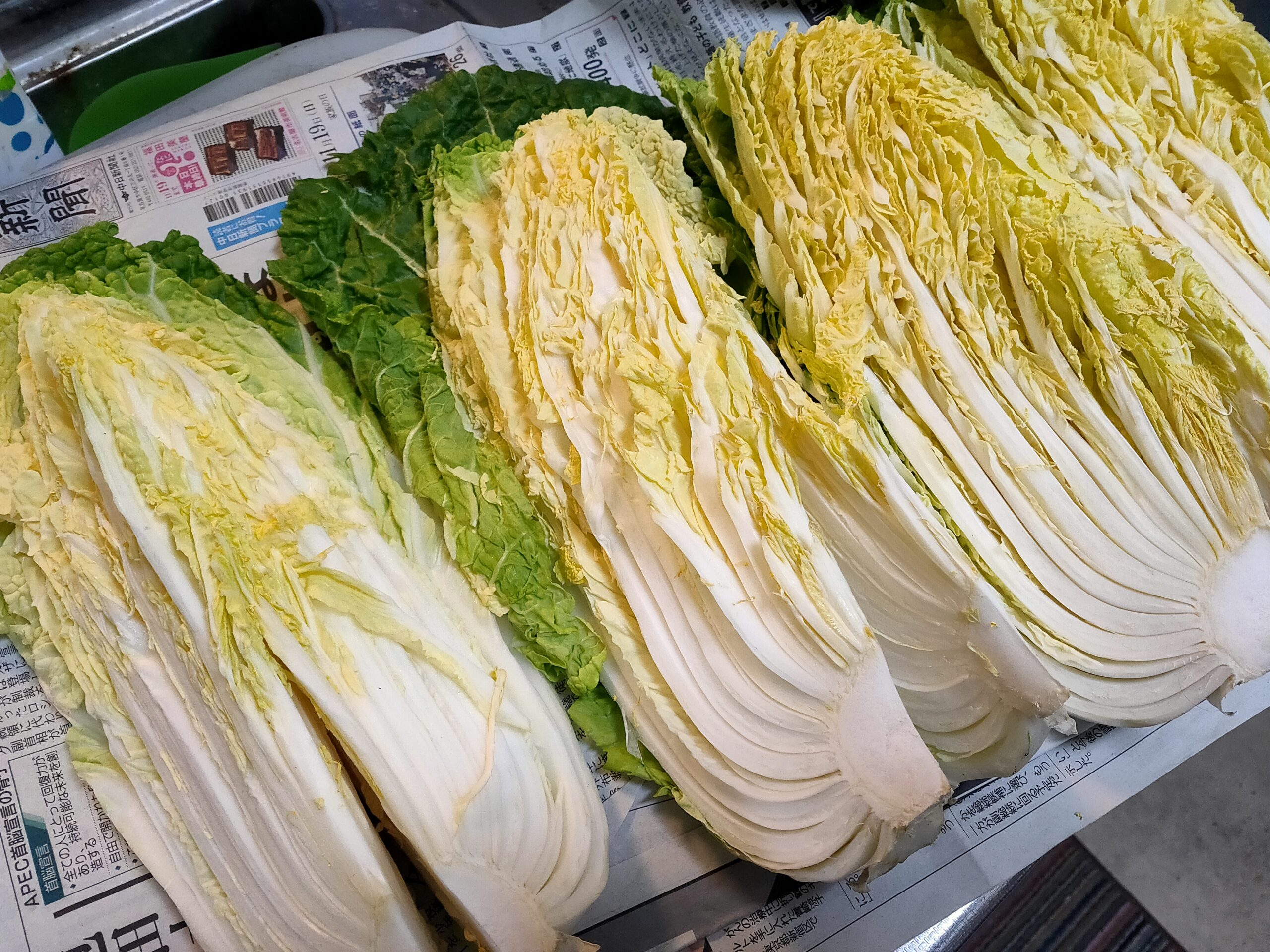 寒くなってきたので今年もアイラップで白菜漬をつくりましょう