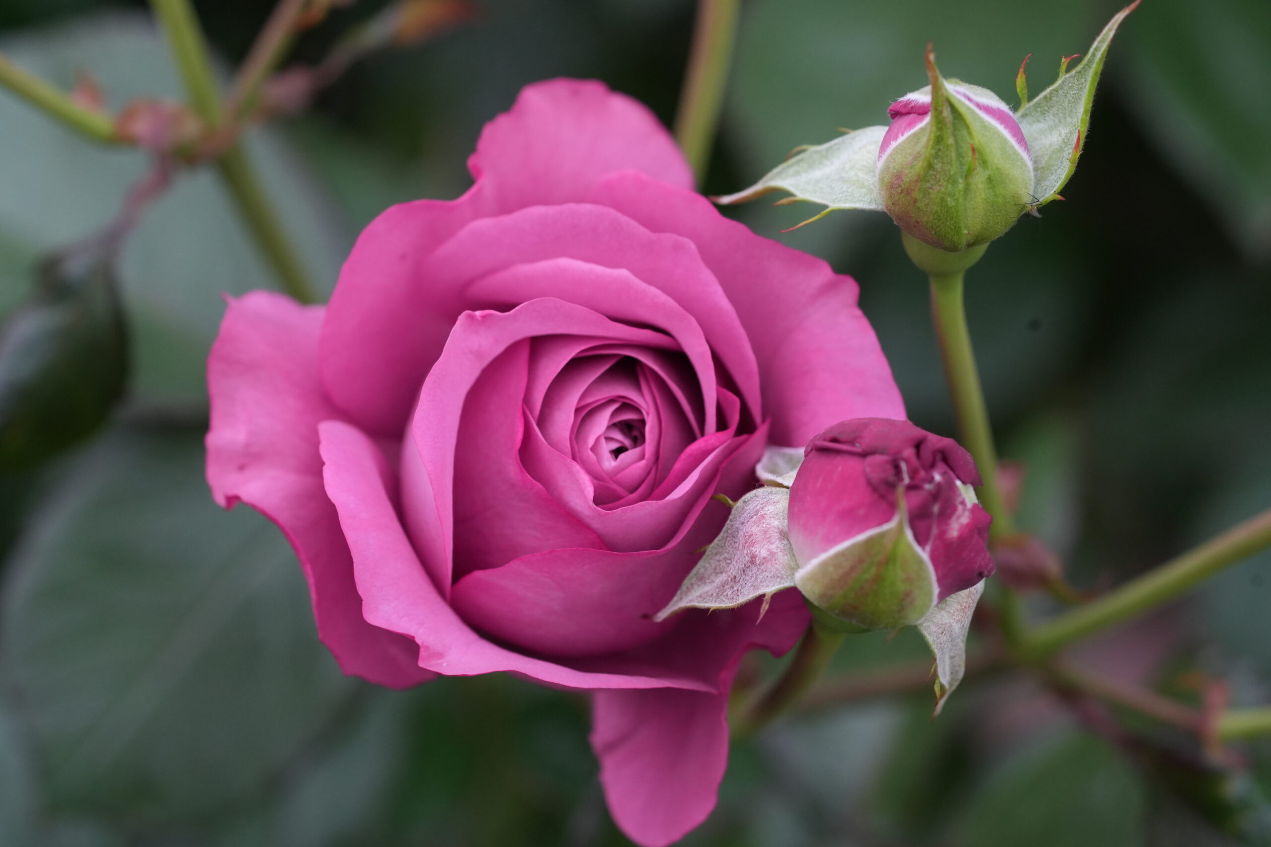 DSC05613.jpg
