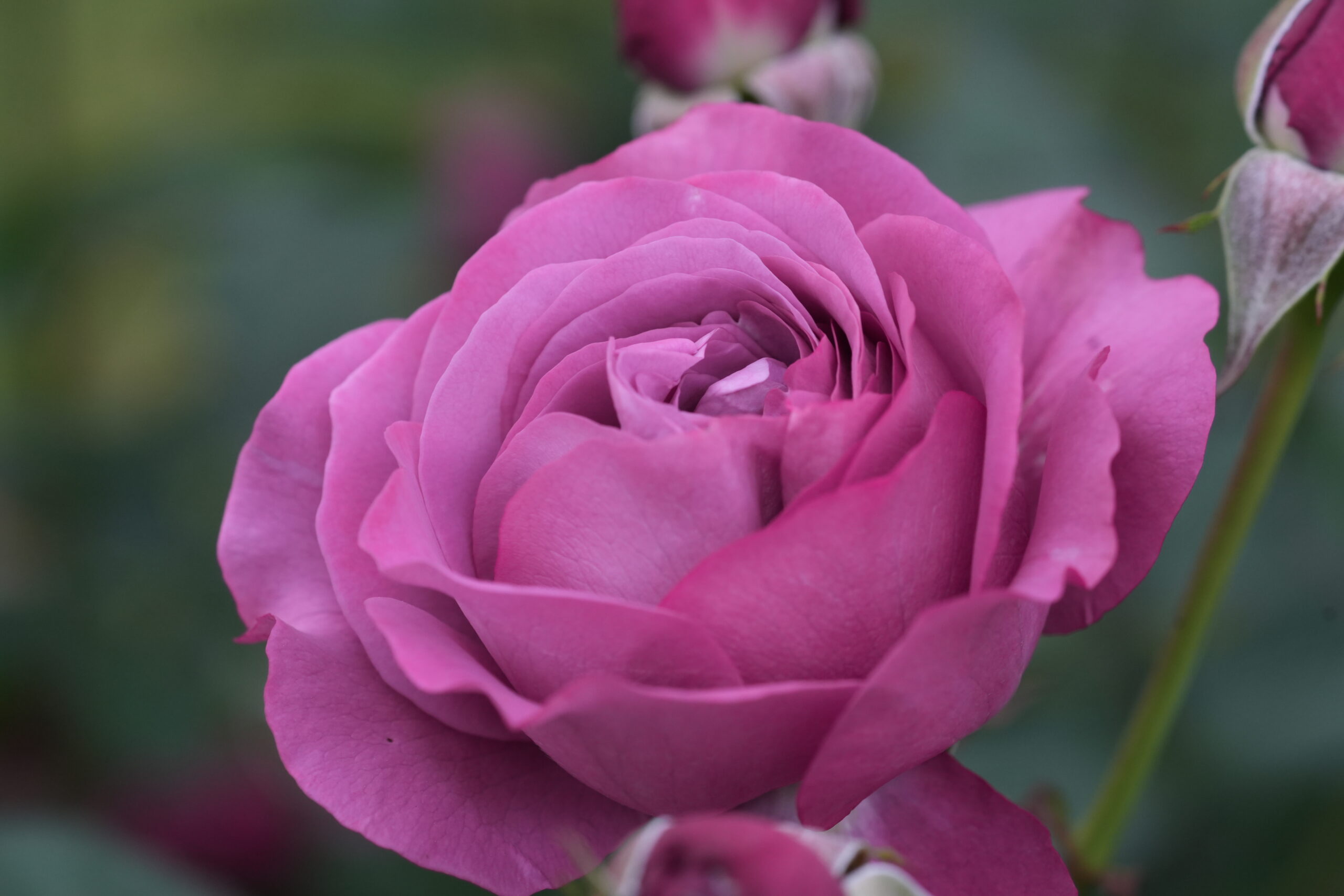 DSC05616.jpg