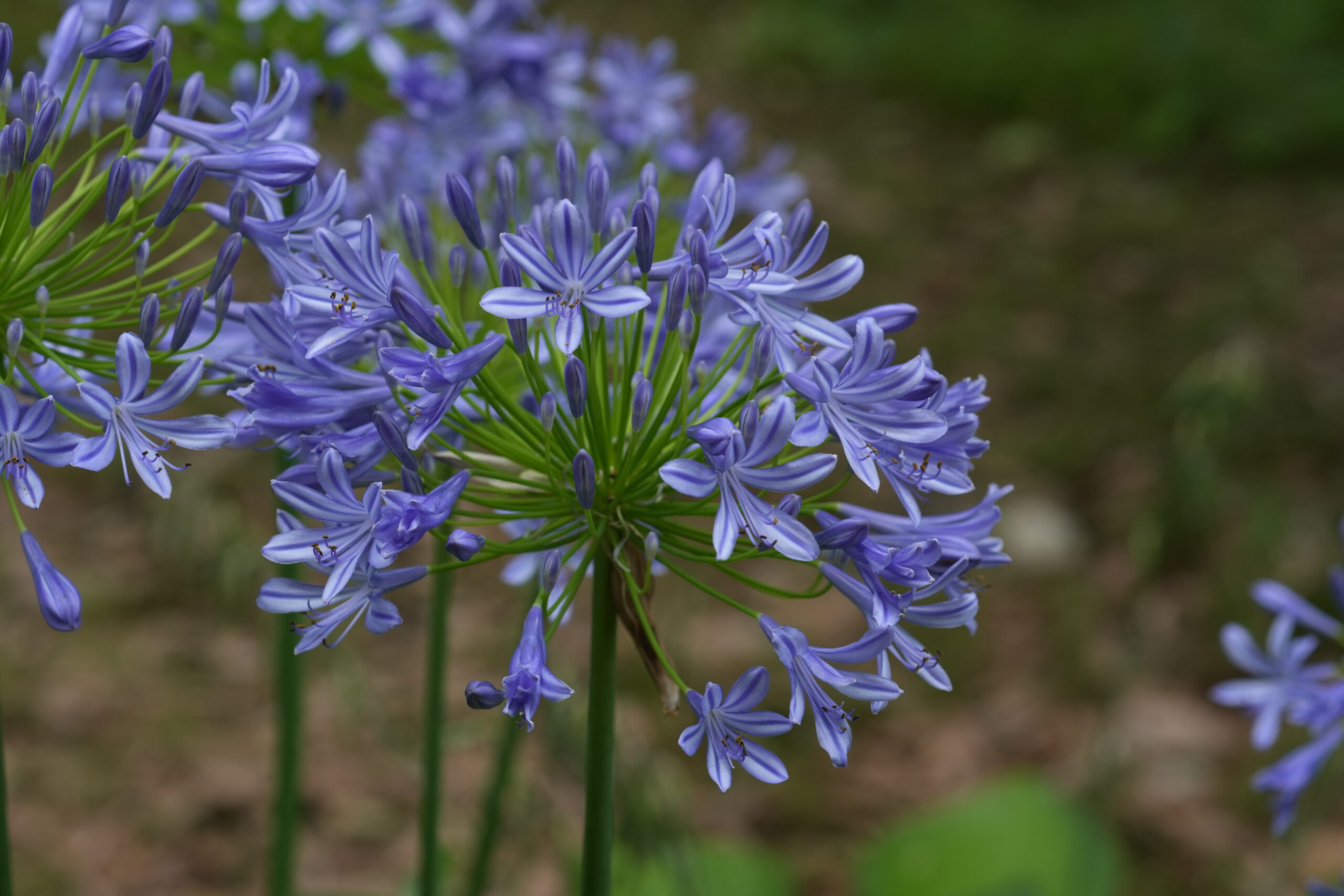 DSC09281.jpg