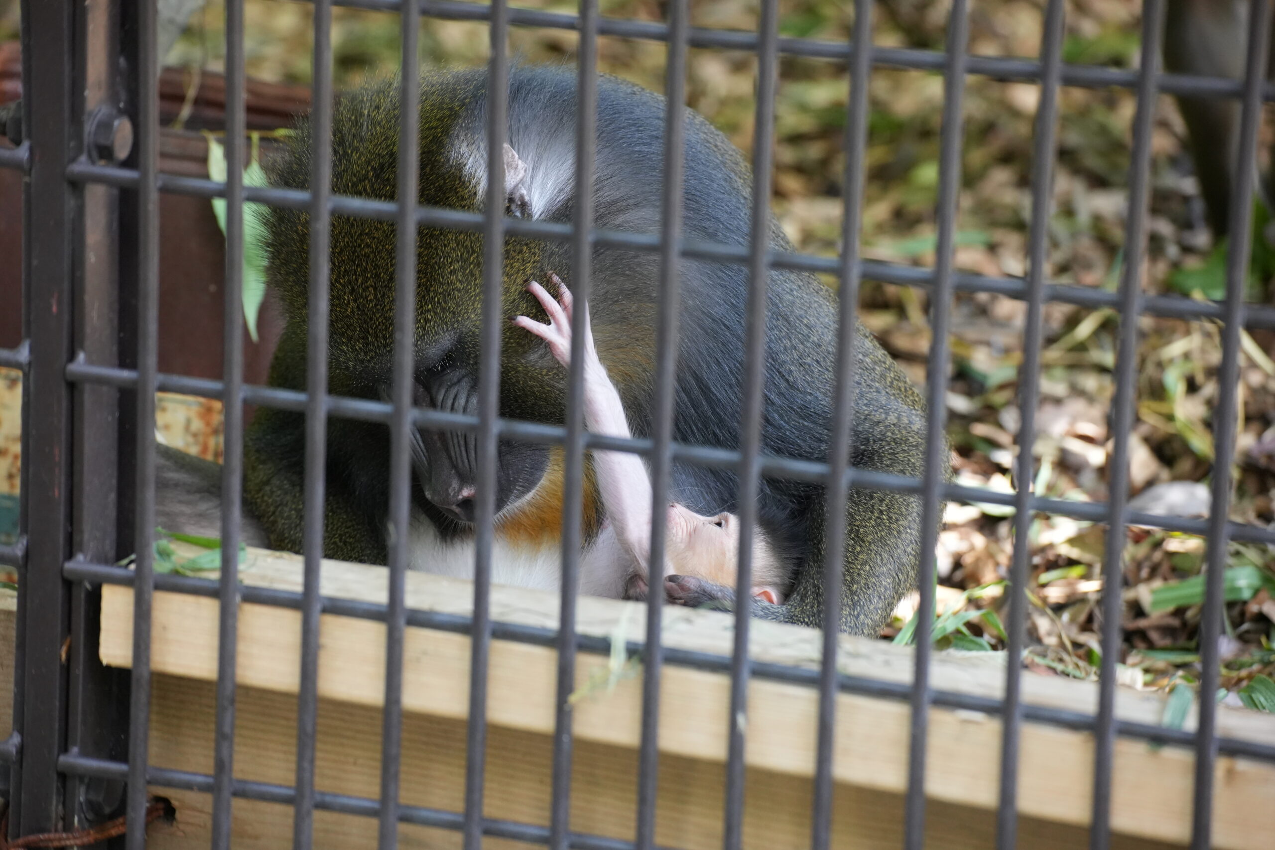 DSC00126.jpg